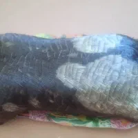 خیگ روغنی|ظروف نگهدارنده، پلاستیکی، یکبارمصرف|ایذه, |دیوار