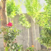 300-متر-باغ-ویلایی-زمین-رویایی-در-دشت-دوم-گرمابسرد