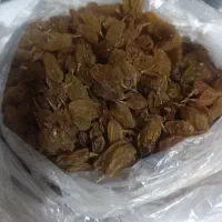 ترشی و خشکبار