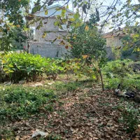 زمین شهری در شاندرمن مسکونی