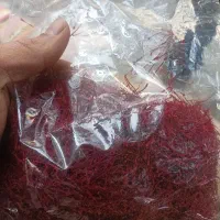 حبوبات عدالت|خوردنی و آشامیدنی|تهران, سلسبیل شمالی|دیوار