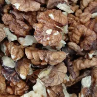 مغز گردو خورشتی