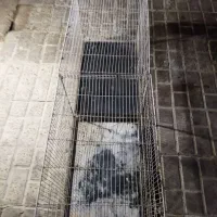 دو تا قفس بزرگ
