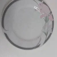 ظروف کاملا نوچینی  24 تکه چینی