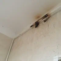 جوشکار ولوله کش گاز|خدمات پیشه و مهارت|گرگان, |دیوار