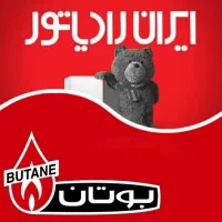 تعمیر و سرویس پکیج و آبگرمکن نمایندگی بوتان،ایران|خدمات پیشه و مهارت|کرمانشاه, |دیوار