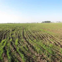 زمین-هکتاری-چسبیده-ب-قم-مناسب-سرمایه-گذاری