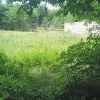 زمین مسکونی