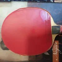 راکت و رویه پینگ پنگ|ورزش‌های توپی|شیراز, اصلاح‌نژاد|دیوار