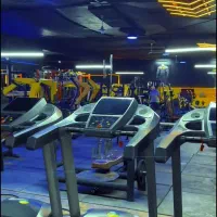 استخدام منشی باشگاه بدنساری