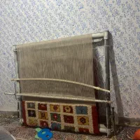 داقالی همراه قالی آماده بریدن