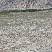 زمین-تجاری