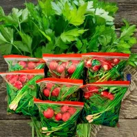 پخش سرتاسری سبزیجات و میوه تازه بطور عمده و تک