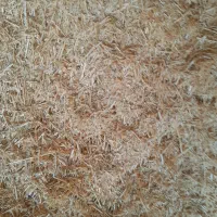 کاه گندم|خدمات باغبانی و درختکاری|فرمهین, |دیوار