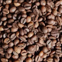 دان قهوه|عمدهفروشی|تهران, دروس|دیوار