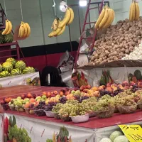اجاره قسمت سبزی مغازه میوه فروشی