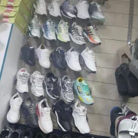 رگال ۲۶۵پاهست|فروشگاه و مغازه|پاوه, |دیوار