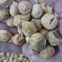 انجیراستهبان درشیرازبه شرط|خوردنی و آشامیدنی|شیراز, ماه فیروزان|دیوار