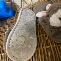 روفرشی دخترانه|کیف، کفش، کمربند|تهران, بنی‌هاشم|دیوار