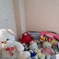 خرس .هزارپا .پلنگ صورتی جوجه .کفش وبت بچه گونه