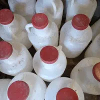 دبه خیار شور