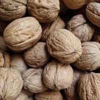 گردو۲ کیلو+۱کیلو رایگان