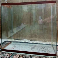 اکواریوم شیشه خم