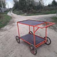 گاری سالم و روان