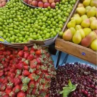 کارگر حرفه ای میوه فروشی