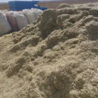 کاه لوبیا کاه گندم