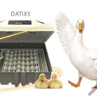 دستگاه جوجه کشی بلدرچین دماوند