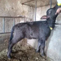 اسباب بازی باغ حیدراباد