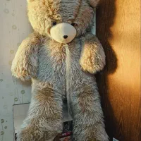 عروسک خرس|اسباب‌‌بازی|قم, هفت تیر|دیوار