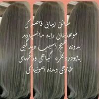 سالن زیبایی قاصدک|خدمات آرایشگری و زیبایی|رشت, پیرکلاچای|دیوار