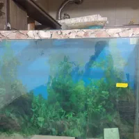 شیشه آکواریوم