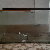 آکواریوم بزرگ