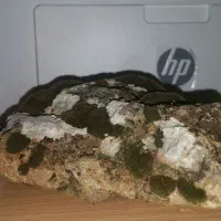 خاص  ترین سنگ|کلکسیون اشیاء عتیقه|ماکو, |دیوار