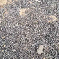 کود حیوانی بسیار تمیز|گل و گیاه طبیعی|خرمآباد, |دیوار