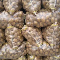 سیب زمینی آگریاوجلی خوراک و بذری ،انواع بذرها|عمده‌فروشی|داران, |دیوار