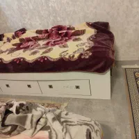 سلام تختخواب ها در حد نو هستن به عرض نود