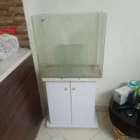 آکواریوم شیشه خم