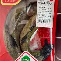 کالا برگ الکترونیک|حراج|ساوه, |دیوار