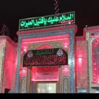 کربلاونجف رفت هوایی برگشت زمینی ۷ میلیون پرند