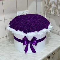 گل ساتن به قیمت عمده