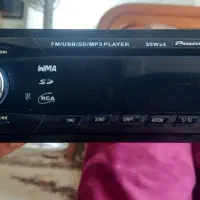 پایونر چینی