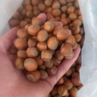 فندوق تازه برای اشکور|خوردنی و آشامیدنی|محمدیه-قزوین, |دیوار