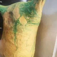 نی انبان (هَمونه) نو نو