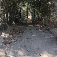 باغ و باغچه