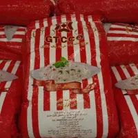 برنج جی تی سی