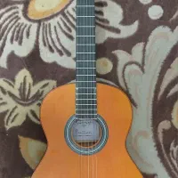 گیتار در حد نو کاملا سالم